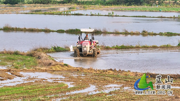 美丽蓝山:河畔沃野春耕忙 白鹭翩跹入画来3.jpg