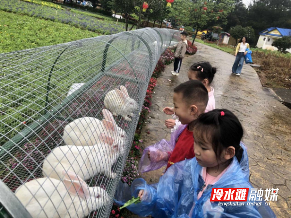 图片B1.png
