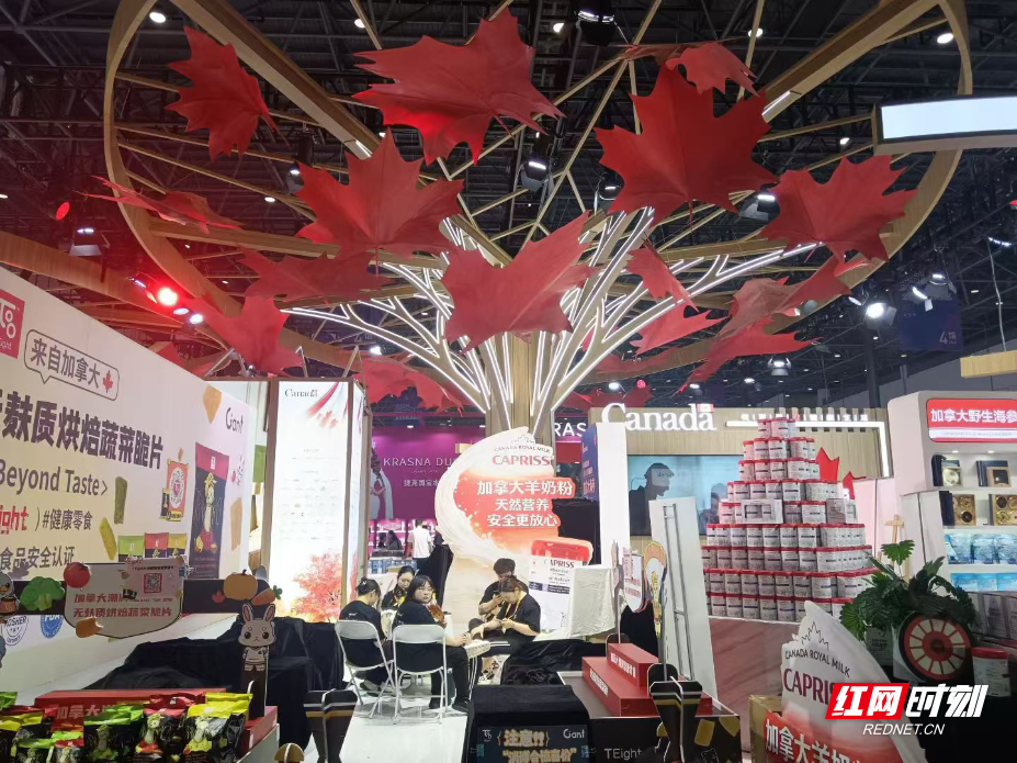 微信图片_20260413200527_263_143.jpg 微信图片_20260413200527_263_143.jpg