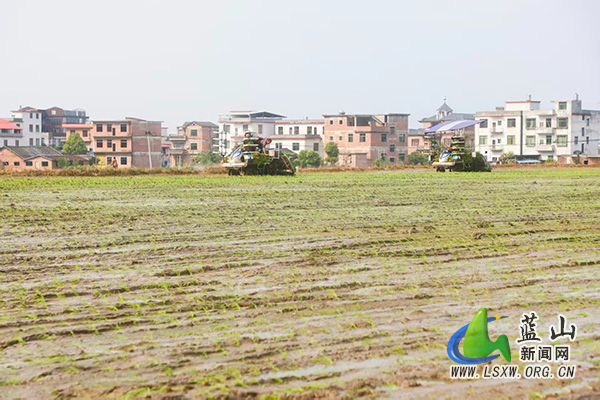 蓝山：早稻插秧正当时 机械化作业跑出“加速度”1.jpg