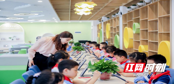 图片5.png 图片5.png