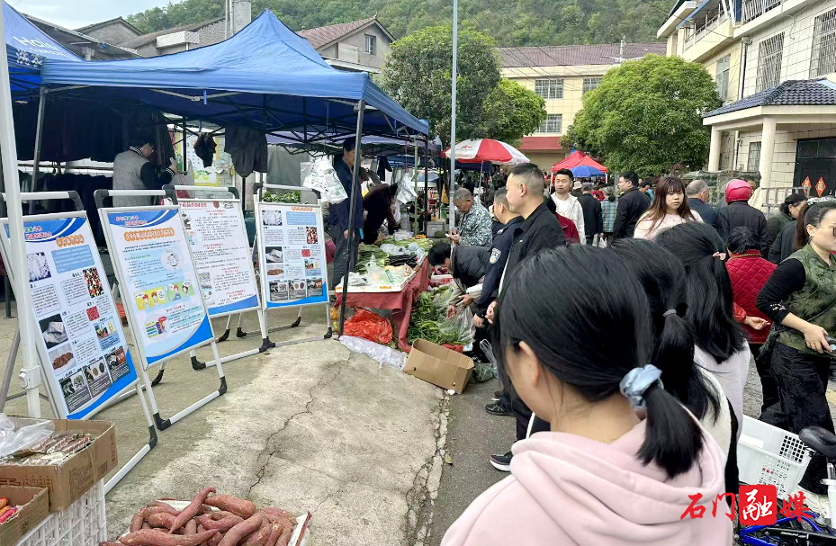 新铺镇：国安宣传“赶大集” 普法禁毒入民心1.jpg