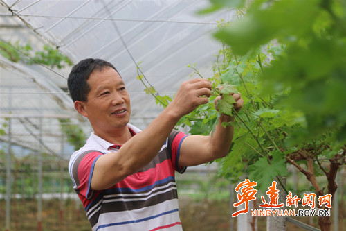 宁远：春日农事忙 沃野绘“丰”景（组图）4_副本500.jpg
