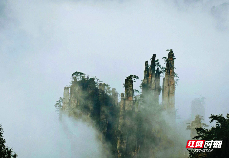 微信图片_20260414080624_2145_214.jpg 微信图片_20260414080624_2145_214.jpg