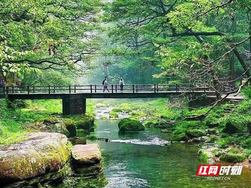 微信图片_20260414080623_2143_214.jpg 微信图片_20260414080623_2143_214.jpg