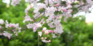 “春日经济”激活文旅消费新活力