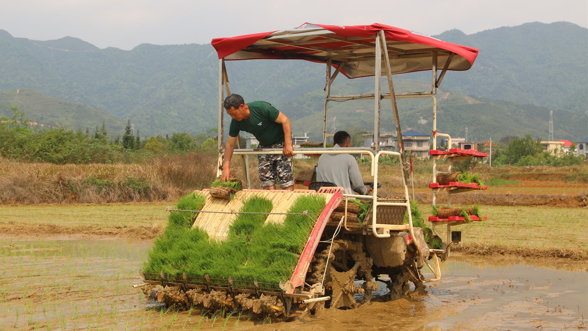 宁远：春日农事忙 沃野绘“丰”景（组图）