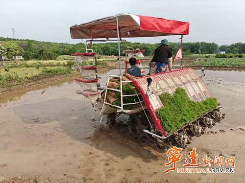 宁远县柏家坪镇：粮食安全放心上 春耕生产正当时_副本500.jpg