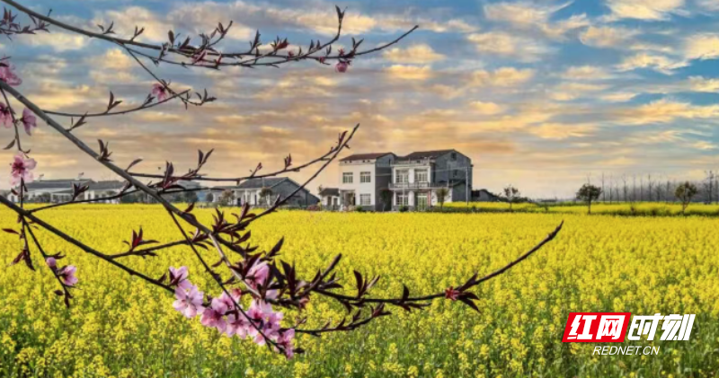 微信图片_20260413102743_558_3.png 微信图片_20260413102743_558_3.png