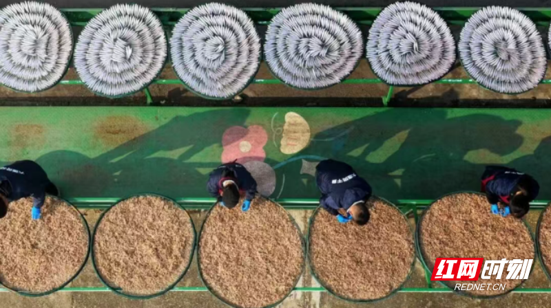 微信图片_20260413102730_556_3.png 微信图片_20260413102730_556_3.png