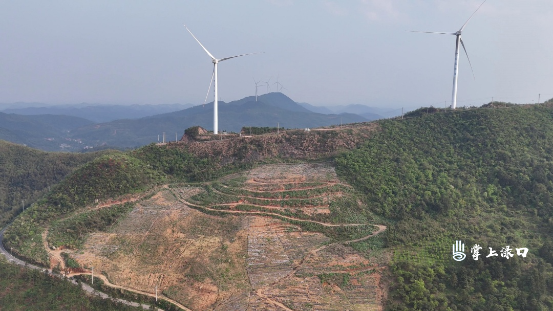 DJI_20260410180616_0430_D[00-00-15][20260410-145539195] (1).jpg