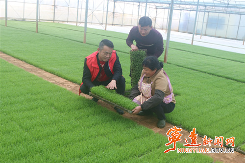 宁远：春日农事忙 沃野绘“丰”景（组图）3_副本500.jpg