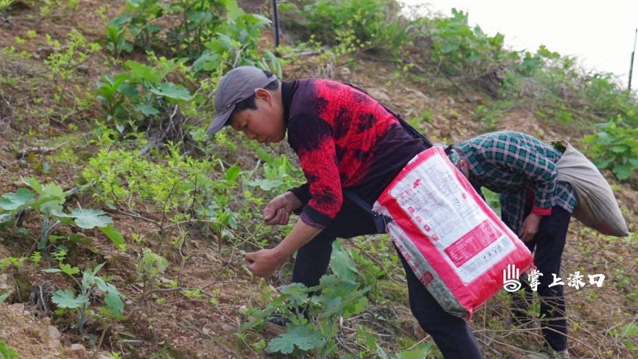 20260410_C8679[00-00-01][20260410-145753797] (1) (1).jpg