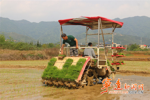 宁远：春日农事忙 沃野绘“丰”景（组图）_副本500.jpg