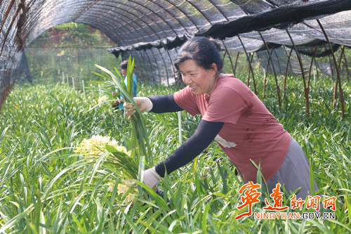 宁远：春日农事忙 沃野绘“丰”景（组图）2_副本500.jpg