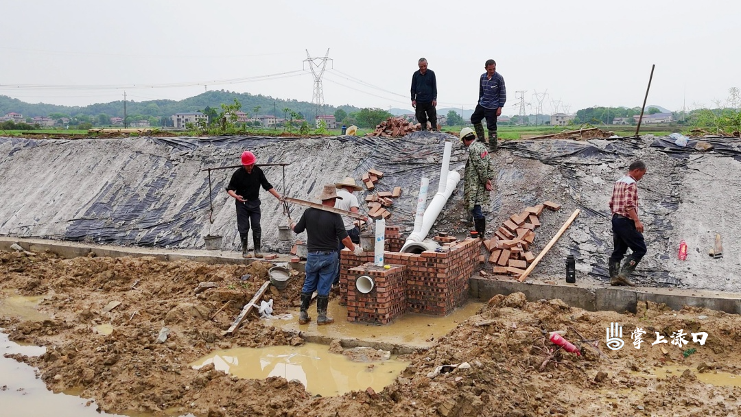 DJI_20260411120753_0458_D[00-00-03][20260410-154105854] (1).jpg