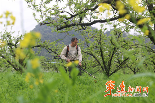 宁远：春日农事忙 沃野绘“丰”景（组图）6_副本500.jpg