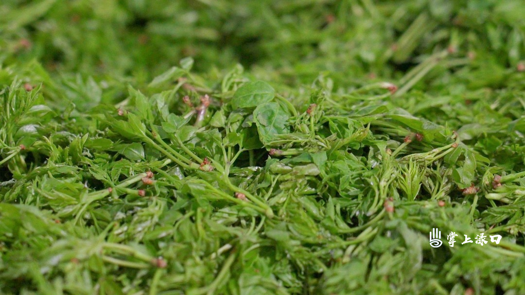 20260410_C8741[00-00-02][20260410-145657444] (1) (1).jpg