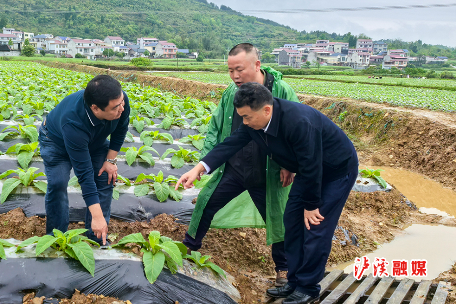 微信图片_20260415223822_150_884.jpg 微信图片_20260415223822_150_884.jpg