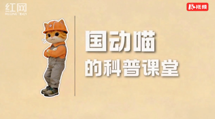 “国动喵”的科普课堂｜全民国家安全教育日，这份“避坑”指南请收好