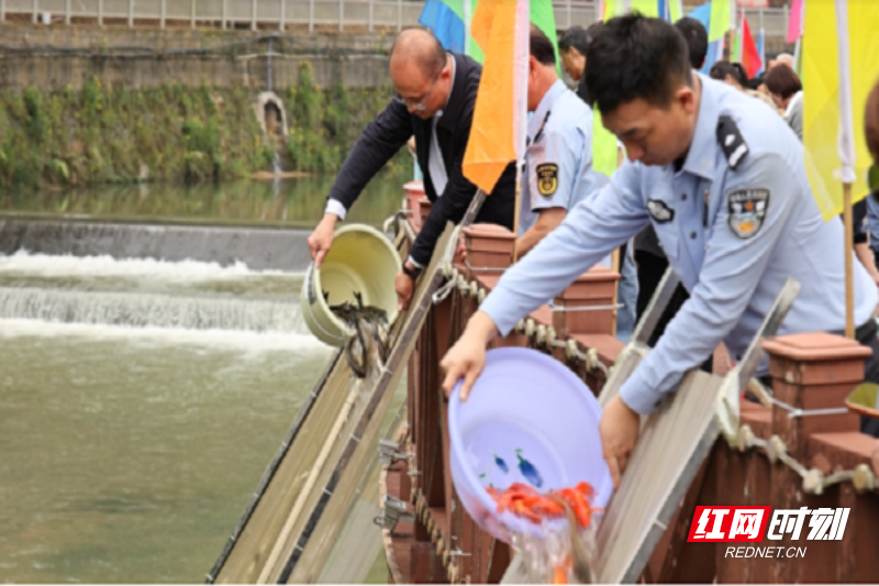 838d784d-3ed9-48fb-b331-b0f279ff99da.png 838d784d-3ed9-48fb-b331-b0f279ff99da.png