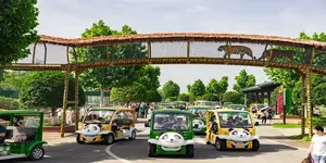 高铁串起湘渝19地 省外游客大增