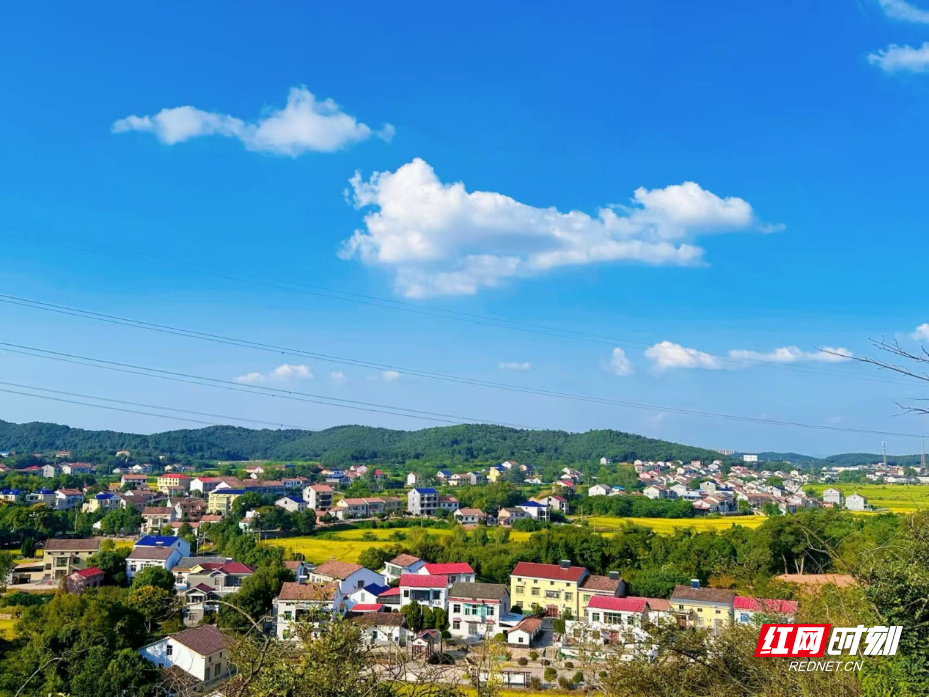 图片4.png 图片4.png