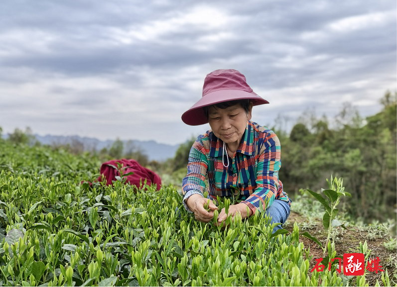 所街2.png 所街2.png