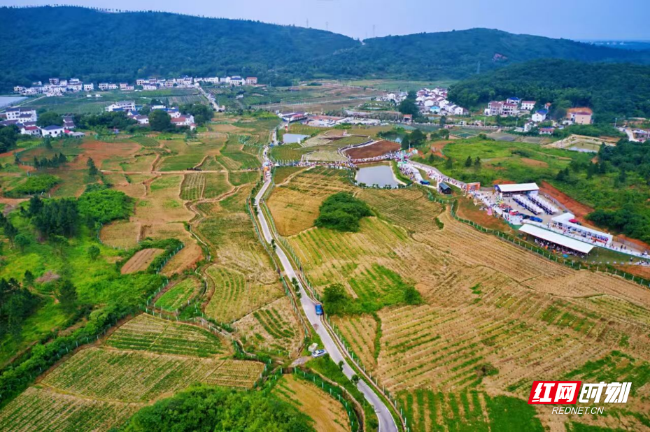 图片5.png 图片5.png