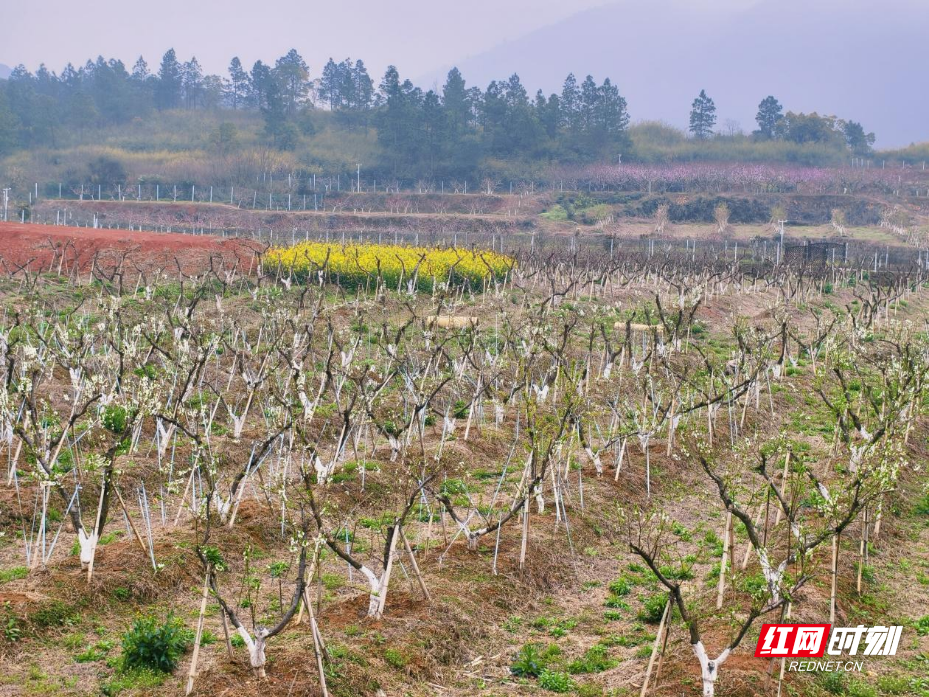 图片3.png 图片3.png