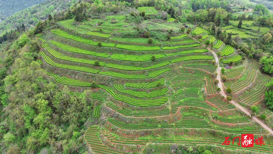 所街1.png 所街1.png