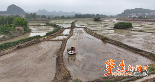 宁远县冷水镇：早稻插秧忙 机械赋能保丰收_副本500.png