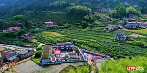 春风拂过中坑村，点染桂东农耕画卷