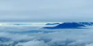 谷雨：春去无憾 夏来有期