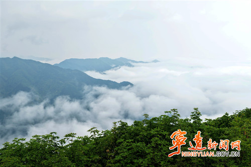 【美景不远·就在宁远】宁远：仙子山云海升腾绘就生态画卷2_副本500.jpg
