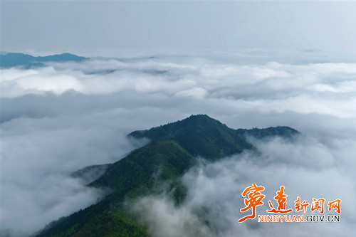 【美景不远·就在宁远】宁远：仙子山云海升腾绘就生态画卷_副本500.jpg