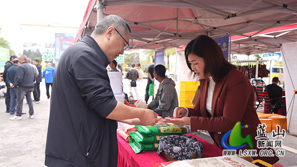 我县开展“乐享蓝山・消费惠民”暨“流动供销大集”活动.jpg