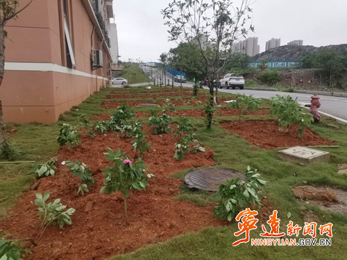 宁远：打造鲜活中医药科普馆_副本500.jpg