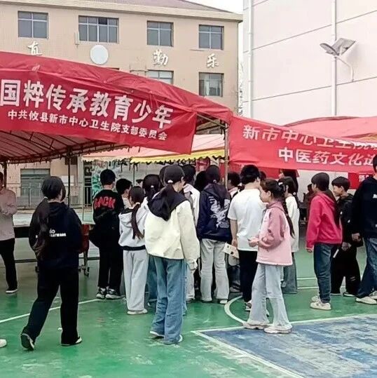 新市镇中学举办中医药游园会