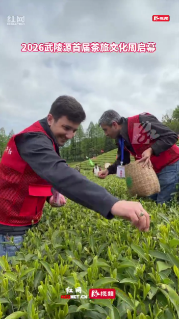 武陵源首届茶旅文化周