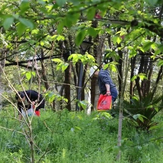 野菜再“诱人”也别挖哦！长沙多个园方呼吁共护公园生态文明