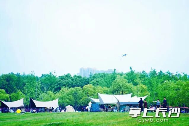 周末晴好，计划踏青、露营的市民赶紧安排起来。  长沙晚报全媒体记者 舒元臻 摄