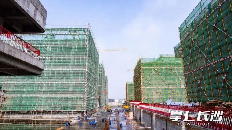 数字健康科创中心项目，目前项目所有楼栋主体结构已完成封顶。