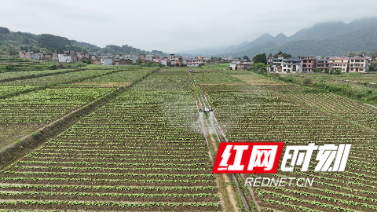 4月16日 (1)(6).jpg