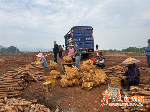 宁远县水市镇：多元产业“轮”出致富路 村民集体“双增收”_副本500.jpg