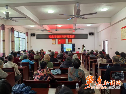 宁远县柏家坪镇：联合宣传“筑防线”  乡镇禁毒“正当时”_副本500.jpg