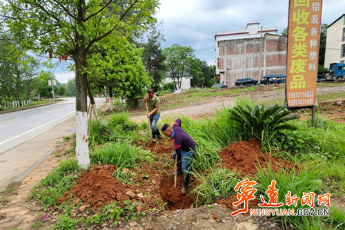 宁远县文庙街道：人居环境“焕新”  和美乡村“提颜”_副本500.jpg