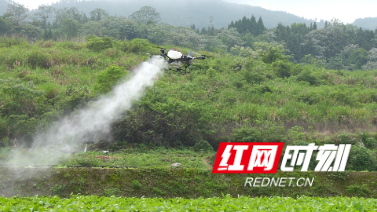 4月16日 (1)(7).jpg