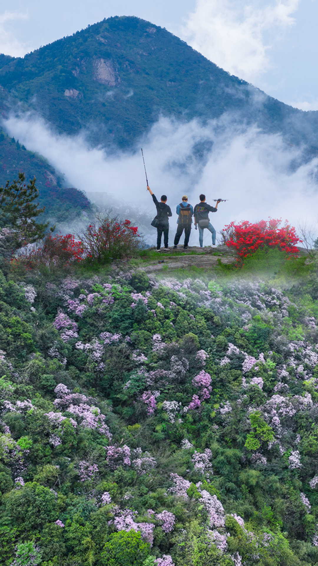 南岳衡山杜鹃花上榜