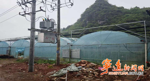 宁远电力：电力护航大棚经济 铺就乡村增收路_副本500.jpg